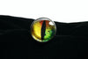 Colorful Dragon Eye Butt Plug